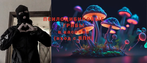 прущая мука Арсеньев