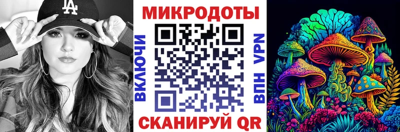 Галлюциногенные грибы Psilocybe  Нытва 